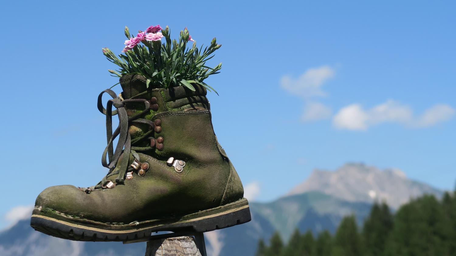 Wanderschuh mit Blumen